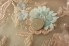 Koronka luksusowa aplikacje kwiaty pastele perły